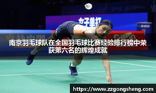南京羽毛球队在全国羽毛球比赛经验排行榜中荣获第六名的辉煌成就